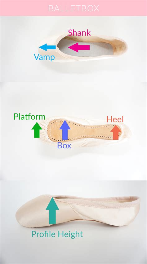 pointe weight distribution square vs tapered box|2008 Pointe Shoe Guide .